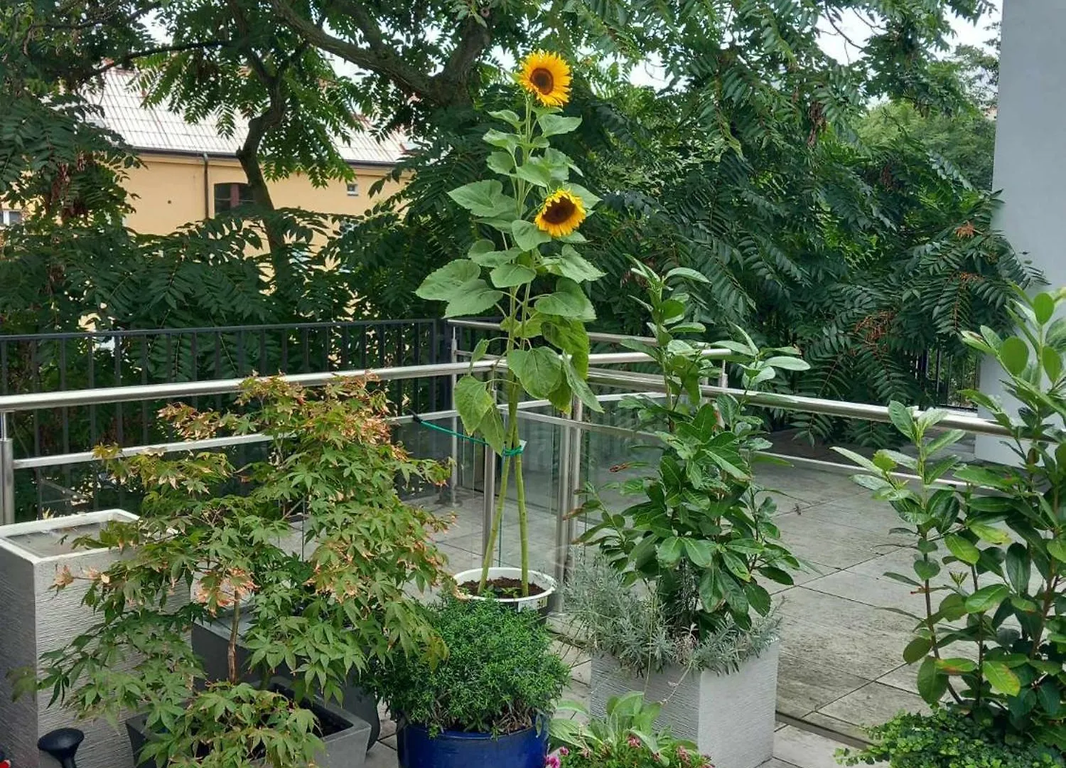 Apartman V Centru Prahy Prague Czech Republic